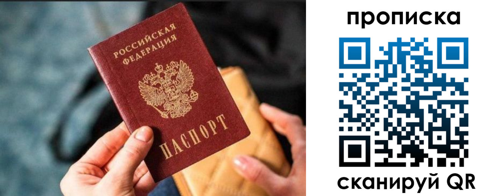 прописка ребенка в Владимирской области